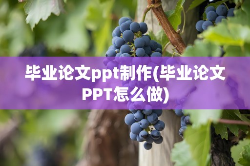 毕业论文ppt制作(毕业论文PPT怎么做)