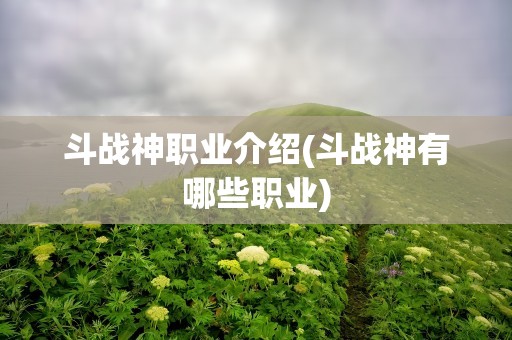 斗战神职业介绍(斗战神有哪些职业)