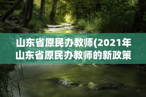 山东省原民办教师(2021年山东省原民办教师的新政策)