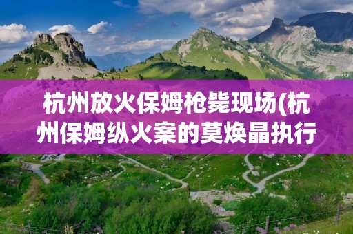 杭州放火保姆枪毙现场(杭州保姆纵火案的莫焕晶执行死刑的方式是枪毙还是注射)