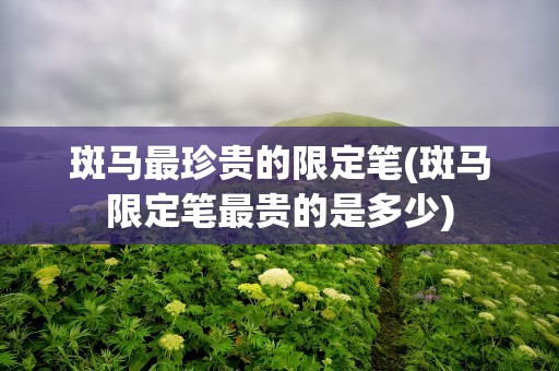 斑马最珍贵的限定笔(斑马限定笔最贵的是多少)