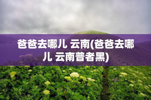 爸爸去哪儿 云南(爸爸去哪儿 云南普者黑)