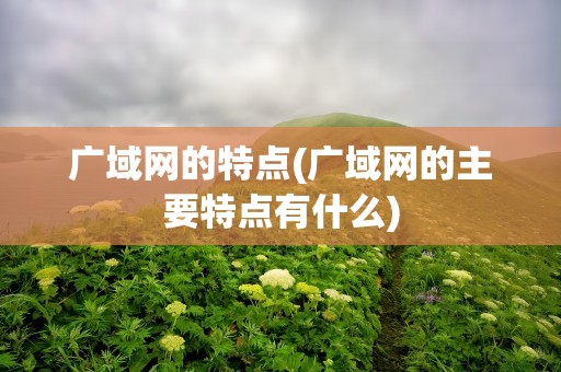 广域网的特点(广域网的主要特点有什么)