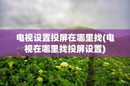 电视设置投屏在哪里找(电视在哪里找投屏设置)