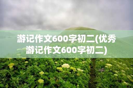 游记作文600字初二(优秀游记作文600字初二)