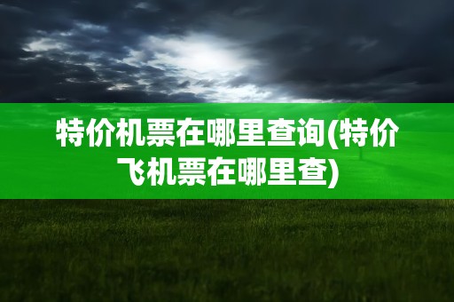 特价机票在哪里查询(特价飞机票在哪里查)