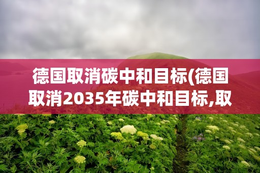 德国取消碳中和目标(德国取消2035年碳中和目标,取消的原因是什么)