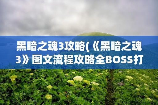 黑暗之魂3攻略(《黑暗之魂3》图文流程攻略全BOSS打法图文流程攻略)