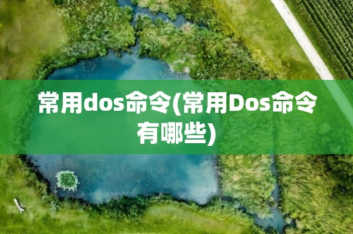 常用dos命令(常用Dos命令有哪些)