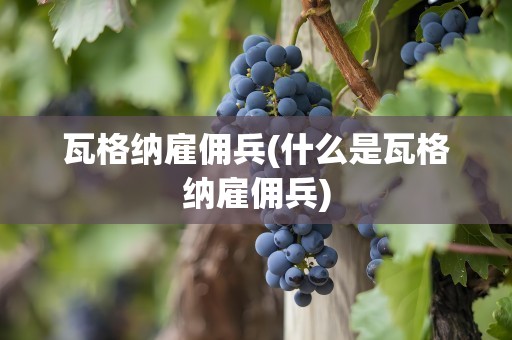 瓦格纳雇佣兵(什么是瓦格纳雇佣兵)