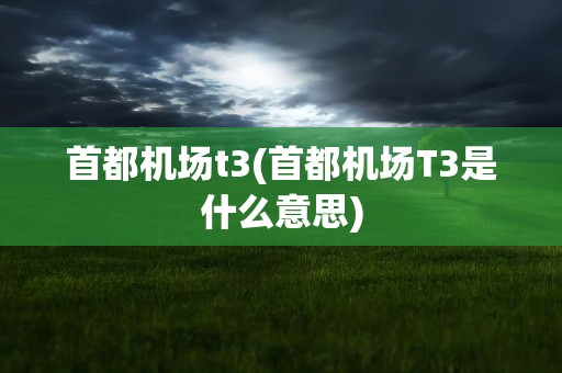 首都机场t3(首都机场T3是什么意思)