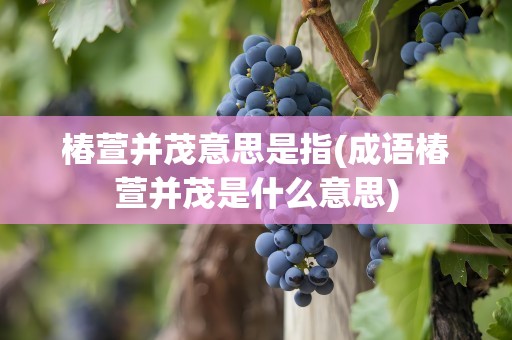 椿萱并茂意思是指(成语椿萱并茂是什么意思)