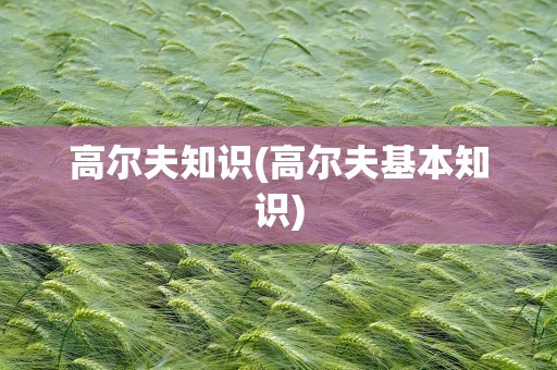 高尔夫知识(高尔夫基本知识)