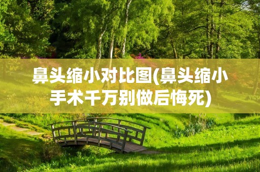 鼻头缩小对比图(鼻头缩小手术千万别做后悔死)