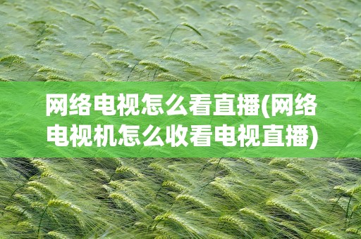 网络电视怎么看直播(网络电视机怎么收看电视直播)