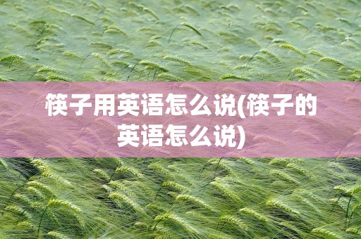 筷子用英语怎么说(筷子的英语怎么说)