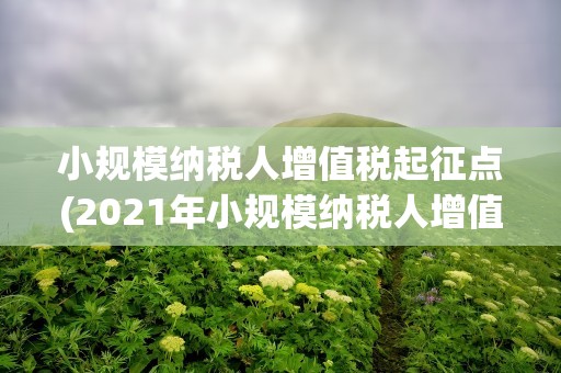 小规模纳税人增值税起征点(2021年小规模纳税人增值税起征点是多少)