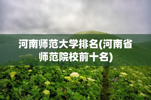 河南师范大学排名(河南省师范院校前十名)