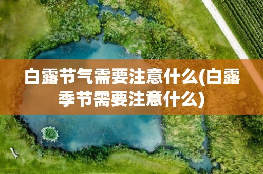 白露节气需要注意什么(白露季节需要注意什么)