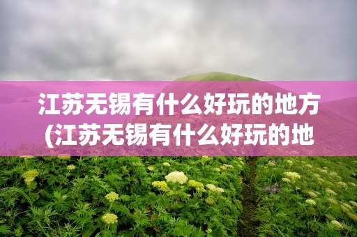 江苏无锡有什么好玩的地方(江苏无锡有什么好玩的地方推荐)