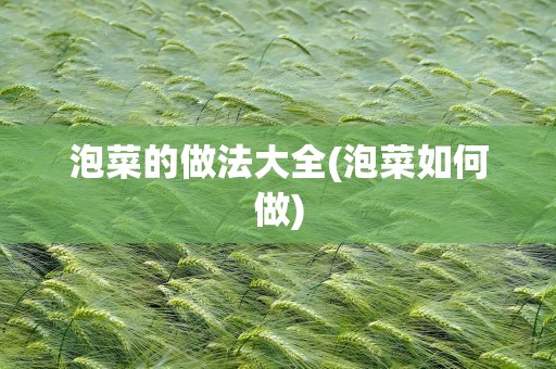 泡菜的做法大全(泡菜如何做)