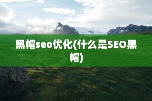 黑帽seo优化(什么是SEO黑帽)