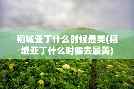 稻城亚丁什么时候最美(稻城亚丁什么时候去最美)