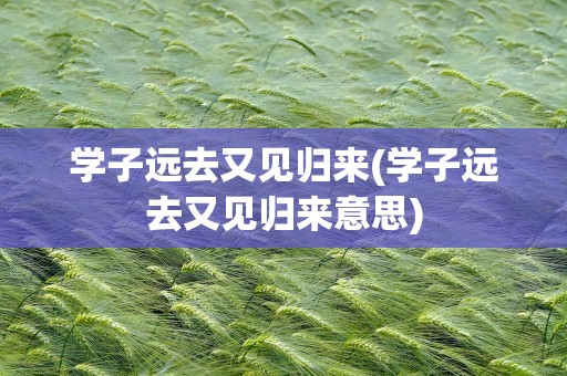 学子远去又见归来(学子远去又见归来意思)