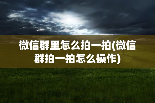 微信群里怎么拍一拍(微信群拍一拍怎么操作)