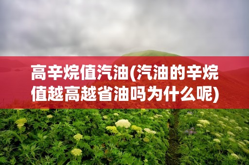 高辛烷值汽油(汽油的辛烷值越高越省油吗为什么呢)