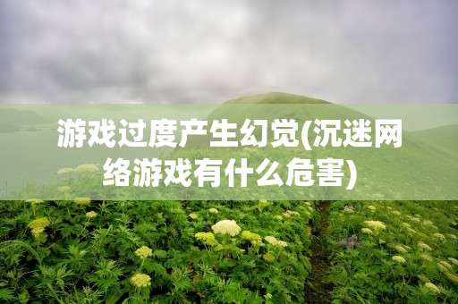 游戏过度产生幻觉(沉迷网络游戏有什么危害)