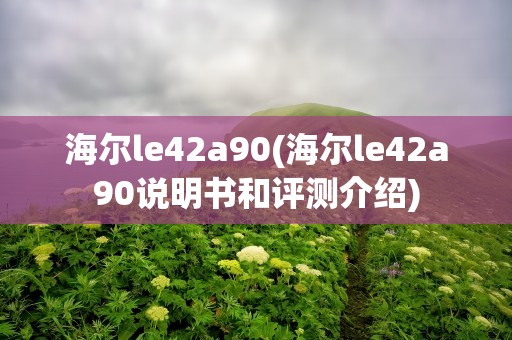 海尔le42a90(海尔le42a90说明书和评测介绍)