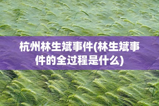 杭州林生斌事件(林生斌事件的全过程是什么)