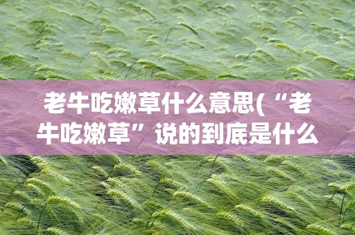 老牛吃嫩草什么意思(“老牛吃嫩草”说的到底是什么)