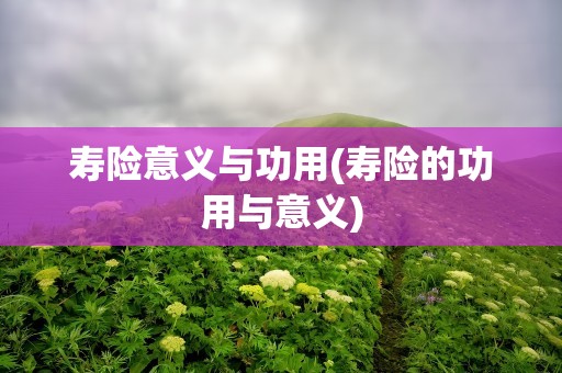 寿险意义与功用(寿险的功用与意义)