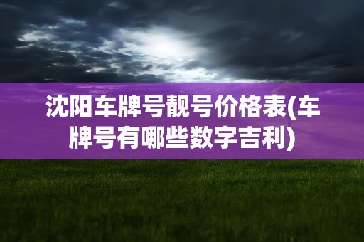 沈阳车牌号靓号价格表(车牌号有哪些数字吉利)