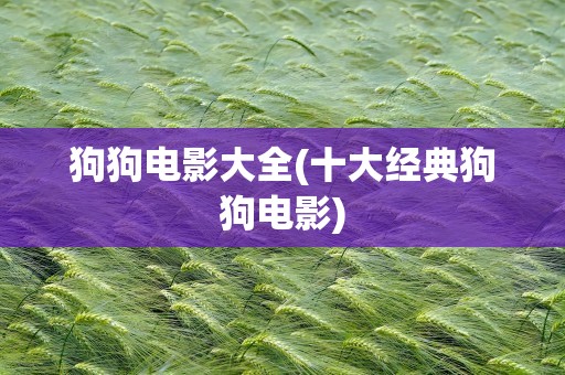 狗狗电影大全(十大经典狗狗电影)