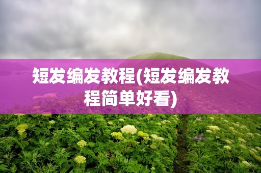 短发编发教程(短发编发教程简单好看)