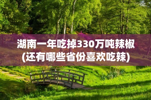 湖南一年吃掉330万吨辣椒(还有哪些省份喜欢吃辣)