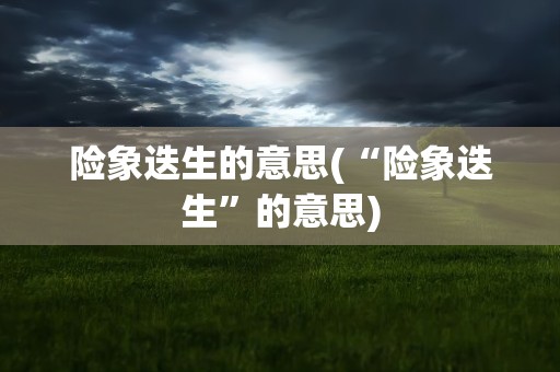 险象迭生的意思(“险象迭生”的意思)