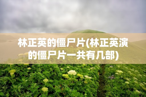 林正英的僵尸片(林正英演的僵尸片一共有几部)