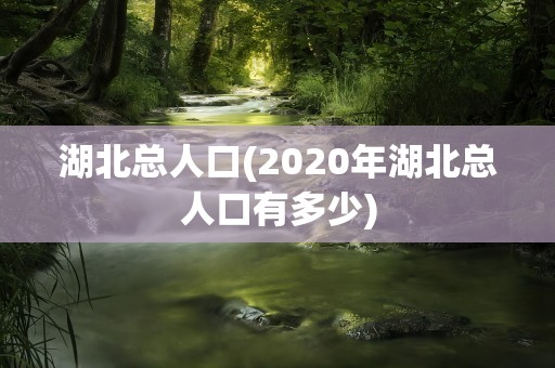 湖北总人口(2020年湖北总人口有多少)