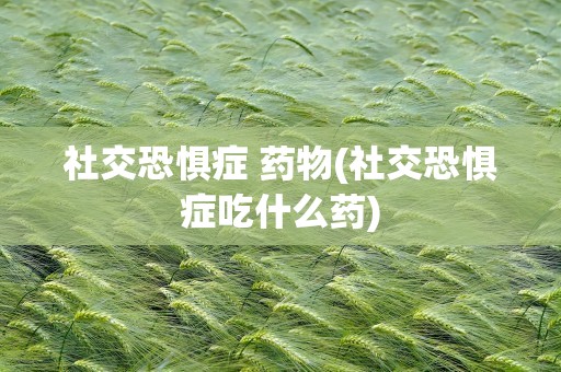 社交恐惧症 药物(社交恐惧症吃什么药)