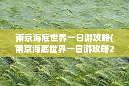 南京海底世界一日游攻略(南京海底世界一日游攻略2022)