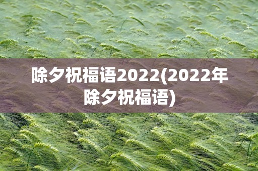 除夕祝福语2022(2022年除夕祝福语)