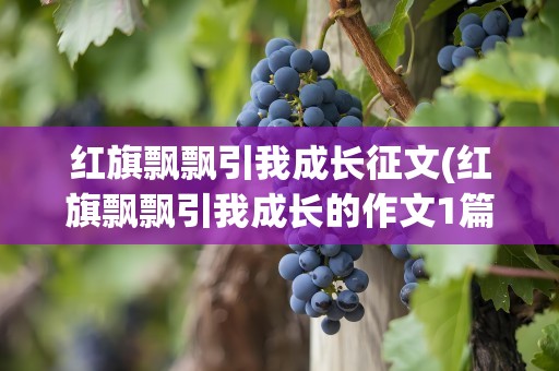 红旗飘飘引我成长征文(红旗飘飘引我成长的作文1篇不少于四百字)