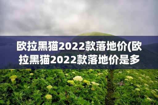 欧拉黑猫2022款落地价(欧拉黑猫2022款落地价是多少钱)