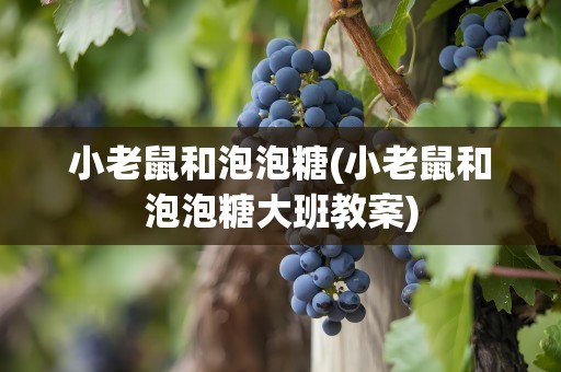 小老鼠和泡泡糖(小老鼠和泡泡糖大班教案)