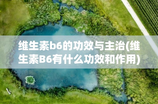 维生素b6的功效与主治(维生素B6有什么功效和作用)