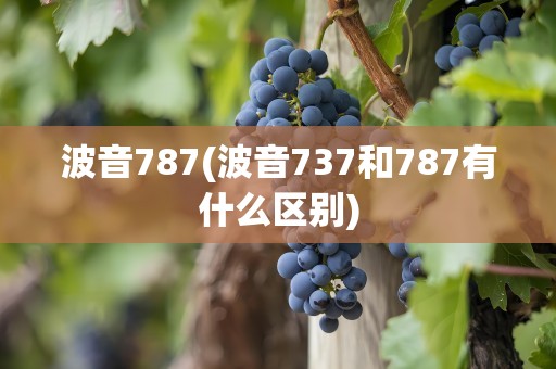 波音787(波音737和787有什么区别)